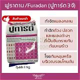 ฟูราดาน