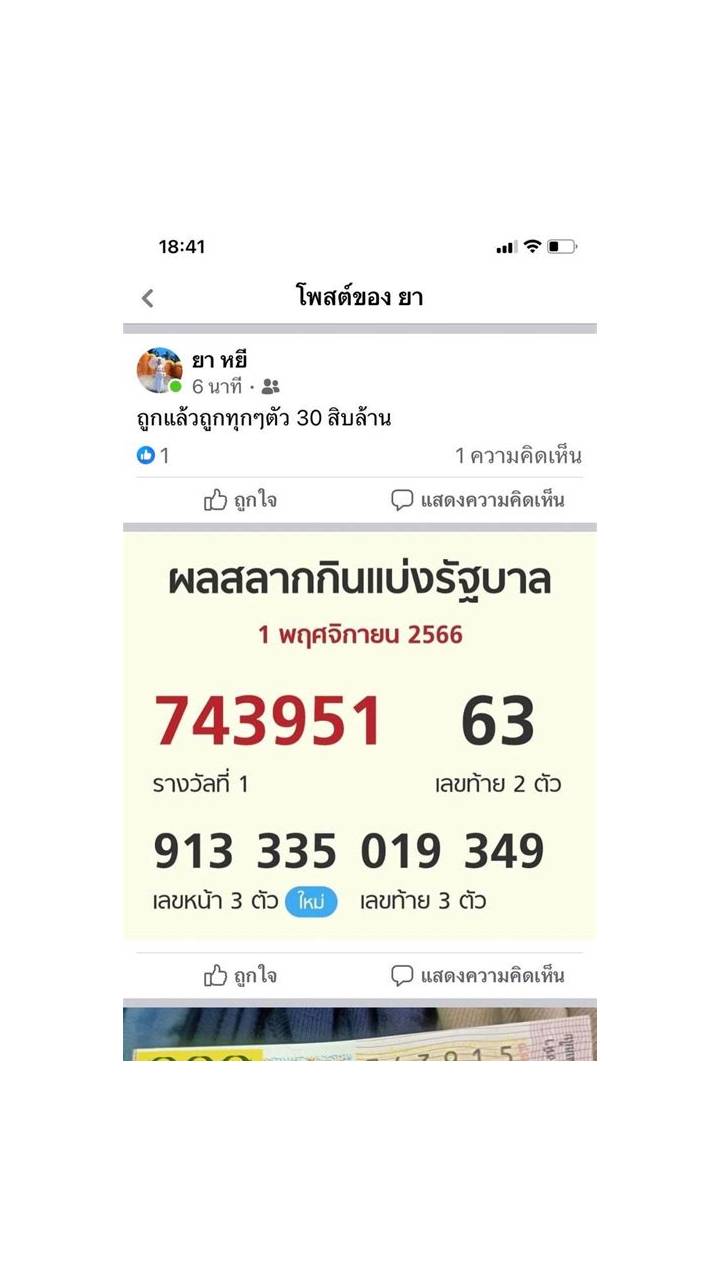 ภาพหน้าจอ